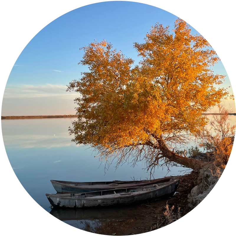 Dawn at the Aral sea